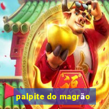 palpite do magrão