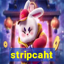 stripcaht