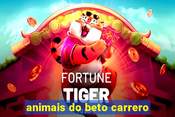 animais do beto carrero