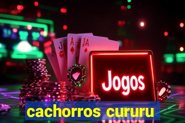 cachorros cururu