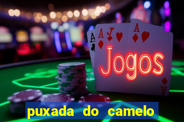 puxada do camelo jogo do bicho