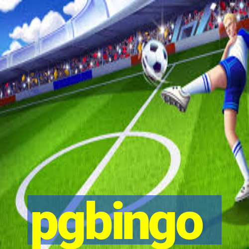 pgbingo