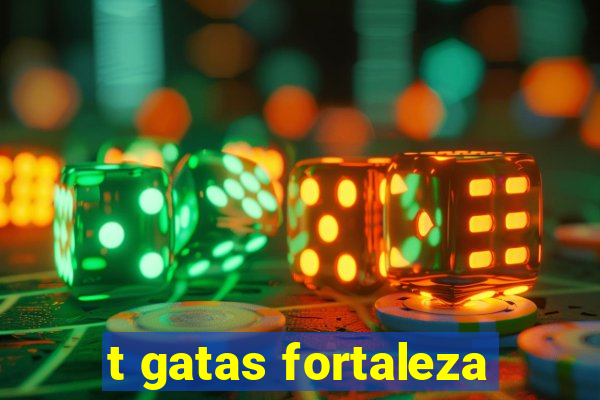 t gatas fortaleza