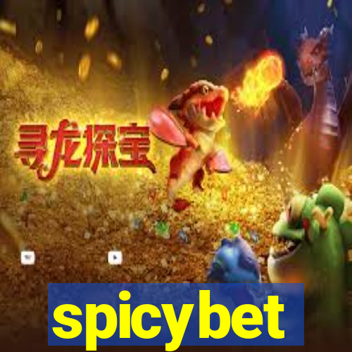 spicybet-3.com